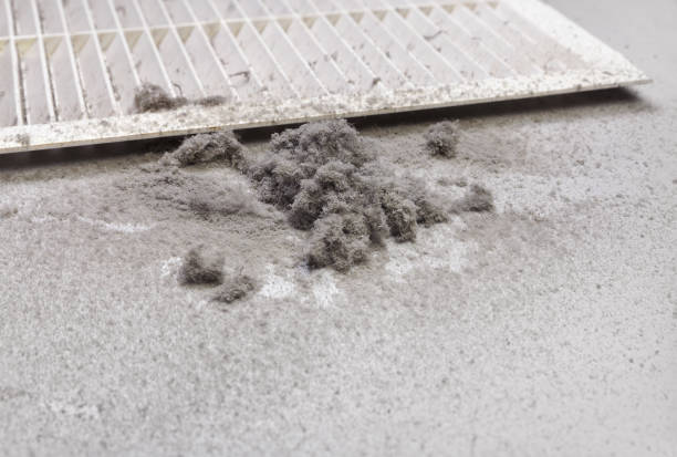 Best Ventilation Cleaning Services  in Harahan, LA